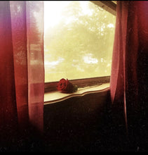 Load image into Gallery viewer, Megan De Vasure - a bluer blue than you